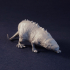 Maggie the Monstrous Mole-Rat Tabletop Miniature (02) image