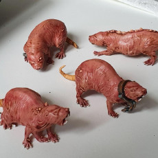 Picture of print of Monstrous Mole-Rat Tabletop Miniatures Bundle