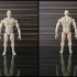 Articulated Poseable Male Figure image