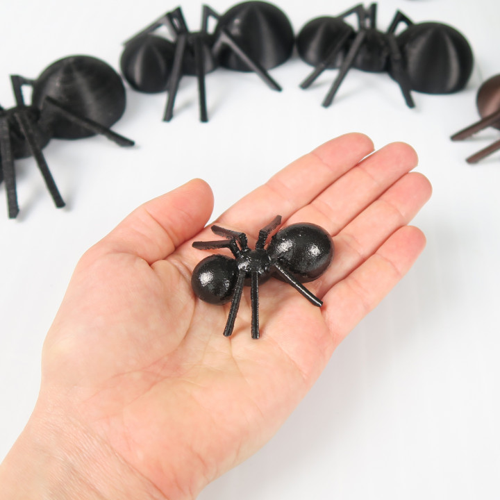 3D Printable Simple Ant by Lindy Design Lab