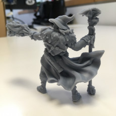 Picture of print of Human Male Wizard (32mm scale miniature)