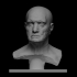 Marble bust of a man image