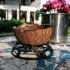 Coconut ashtray stand image