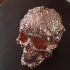 Fancy Skull 2 - FREE! (Low Res) print image