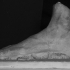 Right foot of an athlete (?) image