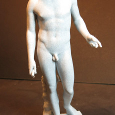 Picture of print of Antinous Farnese