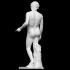 Antinous Farnese image