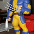 Wolverine Fan art print image