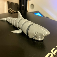 Picture of print of Articulated Shark This print has been uploaded by Laurent Strodiot