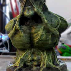 Picture of print of SWAMP THING