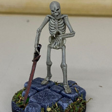 Picture of print of Undead Skeleton Swordsmen - Tabletop Miniature