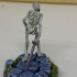 Undead Skeleton Swordsmen - Tabletop Miniature print image