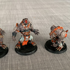 Picture of print of Greater Dragonborn team