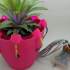 Decoration Plant Pot image