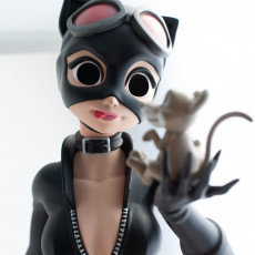 Picture of print of Catwoman, in style, as in stylised! A fan work with love! This print has been uploaded by Benjamin Pecquet Burtin