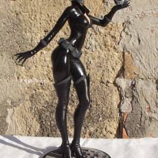 Picture of print of Catwoman, in style, as in stylised! A fan work with love! This print has been uploaded by Guillaume Jardin