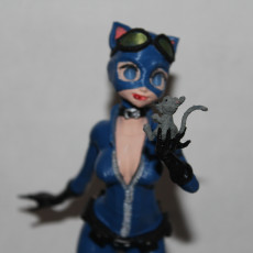 Picture of print of Catwoman, in style, as in stylised! A fan work with love! This print has been uploaded by William J Hatten