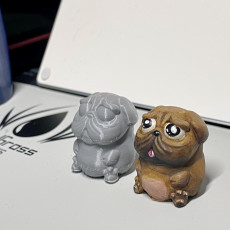 Picture of print of DoggyPop Pug Idol statue