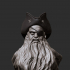 Blackbeard - bust image