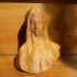 Bust of a veiled woman print image
