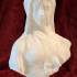 Bust of a veiled woman print image