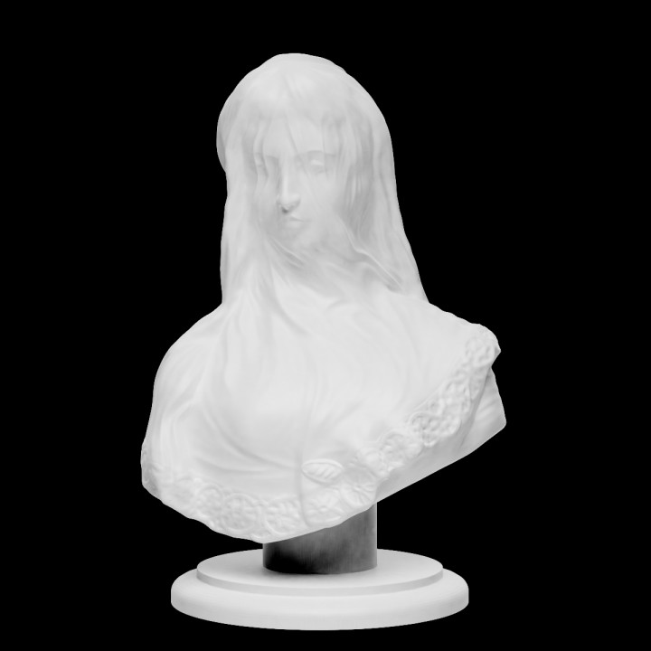 Bust of a veiled woman