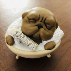 Picture of print of Bathing Pug miniature - Pre-Supported