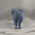 Ornate Elephant image