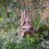 Vampire Bat image