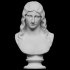 Bust of a Barbarian Woman image