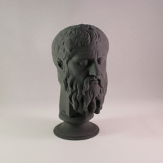 Picture of print of Plato