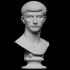 Portrait of an Augustine Prince, Marcellus (?) image