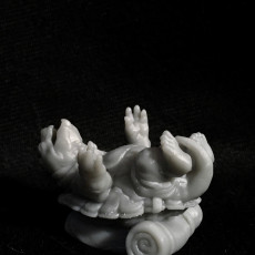 Picture of print of Turtle Traveller - NPC Character - 2 Poses This print has been uploaded by kevin