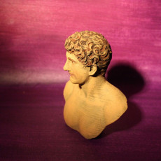 Picture of print of Portrait of a Marcus Antonius This print has been uploaded by Creative Journeys