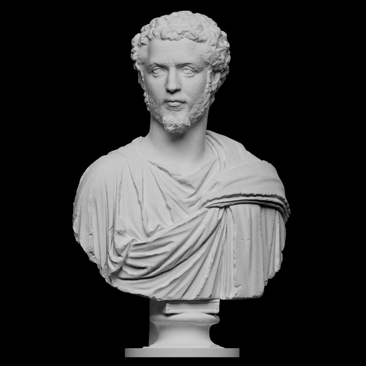 Portrait of a Man (Septimius Severus?)