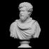 Draped bust of a man, formerly known as Clodius Albinus image