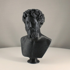 Picture of print of Portrait of Marcus Aurelius
