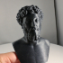 Portrait of Marcus Aurelius print image
