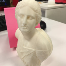 Picture of print of Bust from The Daughters of Niobe This print has been uploaded by Paris
