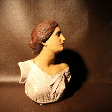 Picture of print of Bust from The Daughters of Niobe This print has been uploaded by Creative Journeys