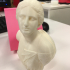 Bust from The Daughters of Niobe print image