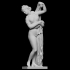 Venus Kalyppigos (Venus aux belles fesses) image