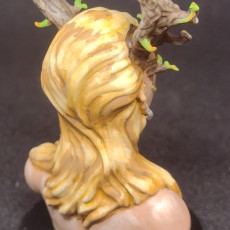 Picture of print of Dryad bust This print has been uploaded by Patrick Odell