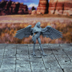 Picture of print of Harpy - Tabletop Miniature