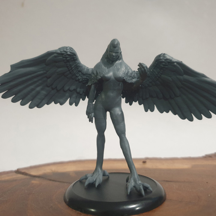 Harpy - D&D Miniature