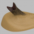 Sandworm emerging from sand image