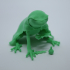 Rough Frog - Boardgame Animal Collection image