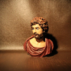 Picture of print of Bust of a Philosopher or Barbarian (?)
