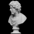 Bust of a Philosopher or Barbarian (?) image