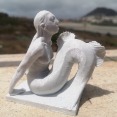 Picture of print of Mermaid This print has been uploaded by Kevin Lopez